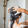 Shampoo Concentrate 〰️ Mango Papaya - Goodeau